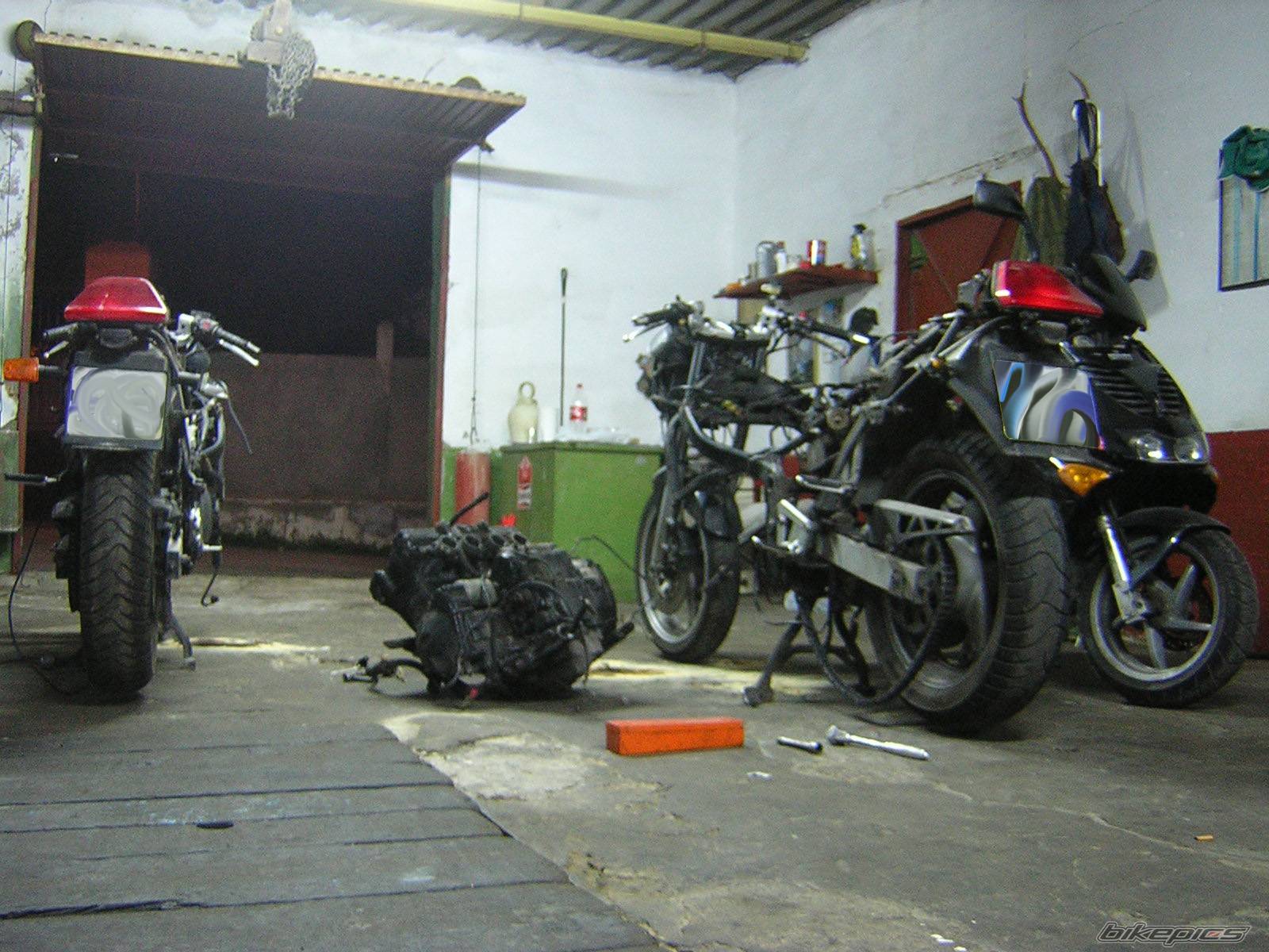 Photo 283669