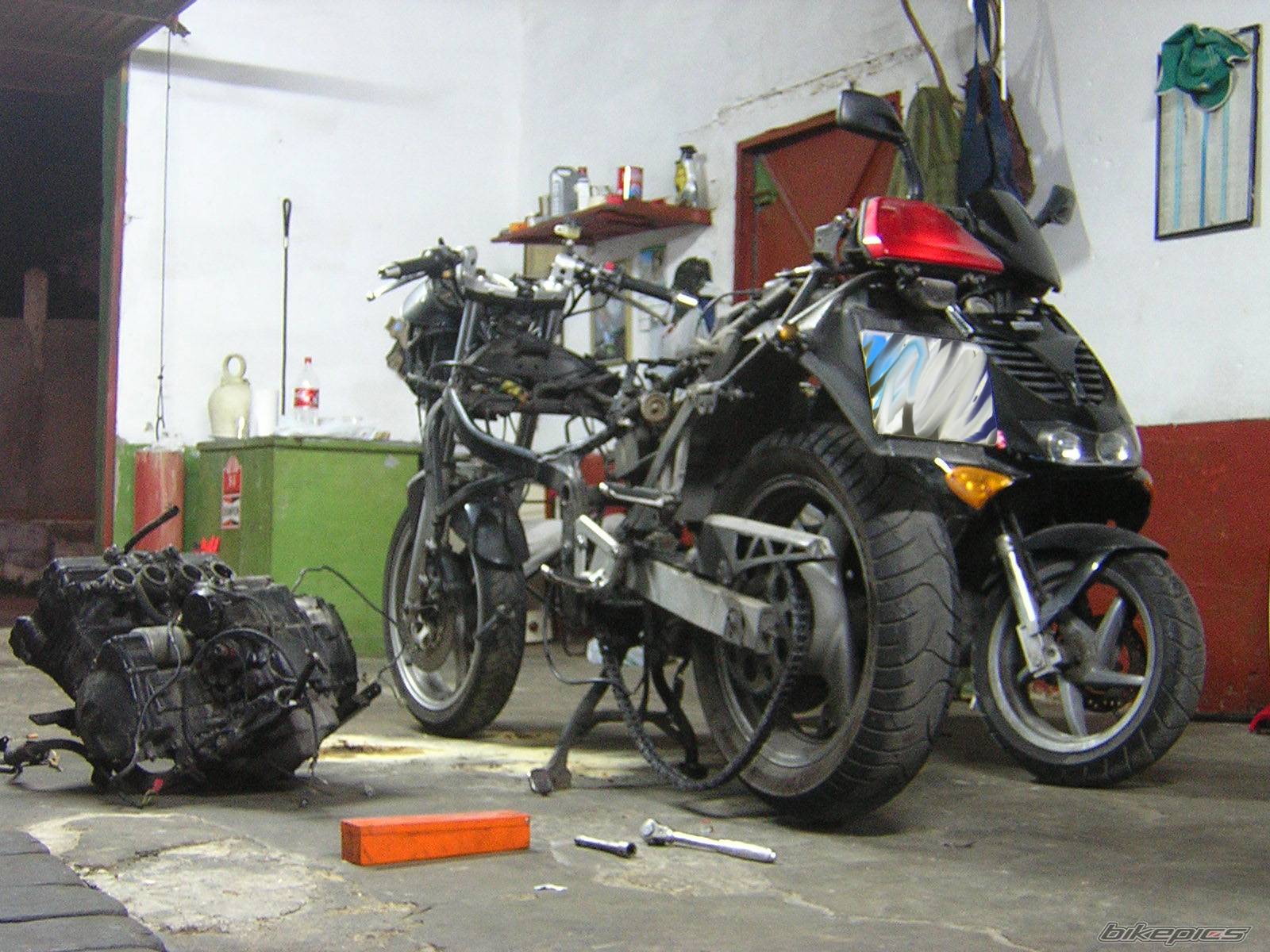 Photo 283671