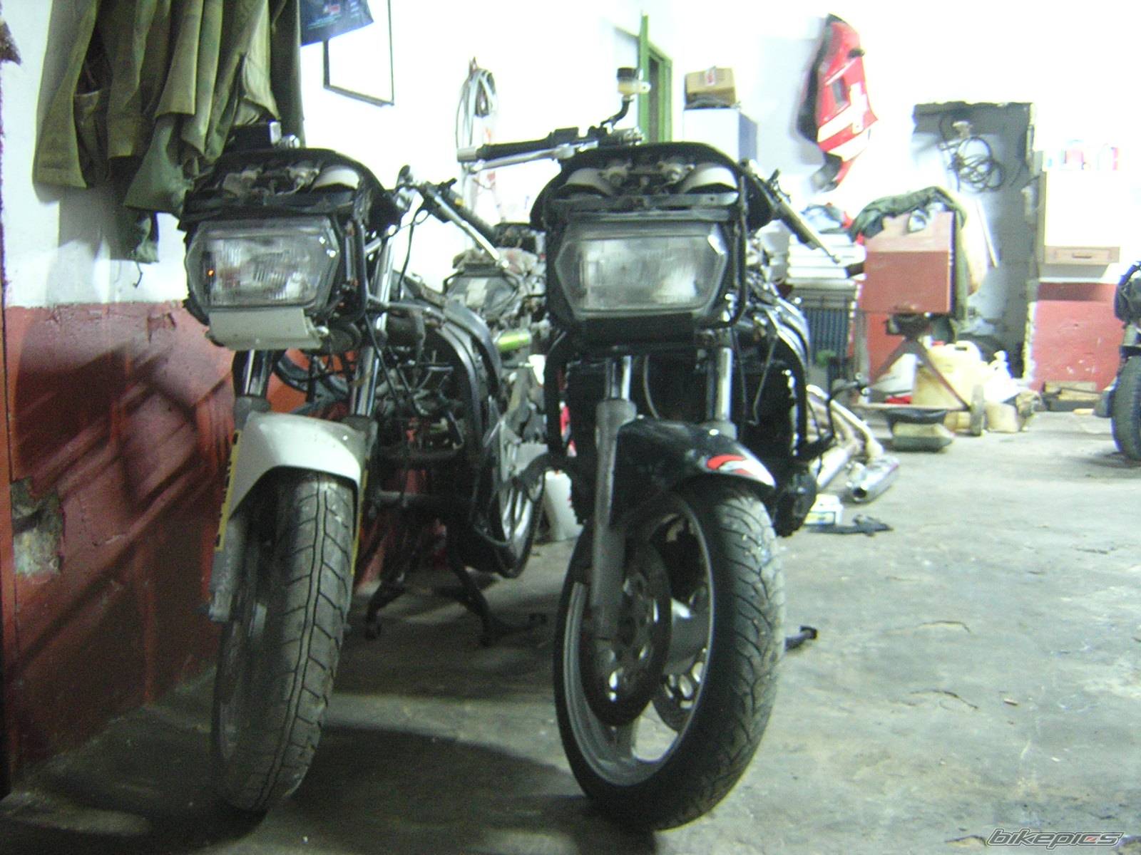 Photo 283679