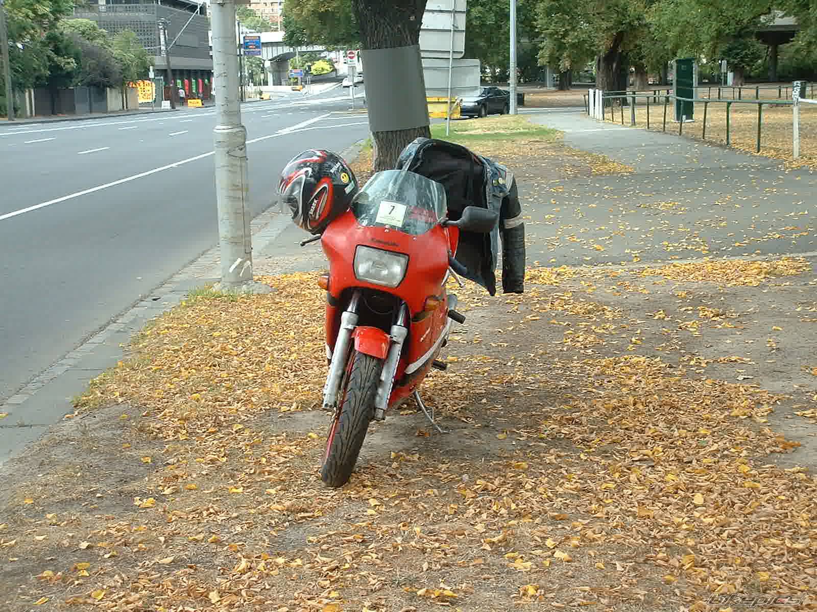 Photo 283739
