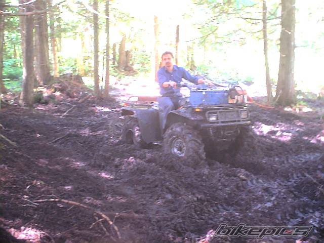 Photo 283752