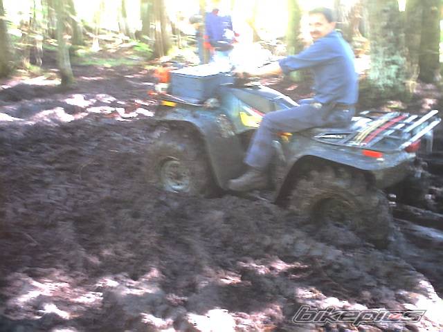 Photo 283754