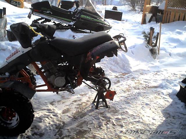 Photo 283769