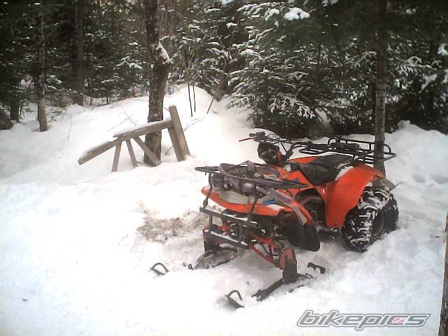 Photo 283772