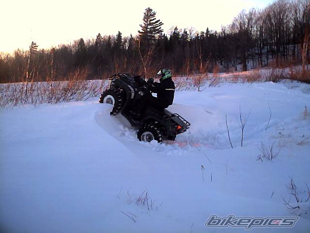Photo 283774