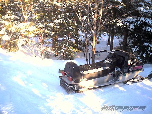 Photo 283776