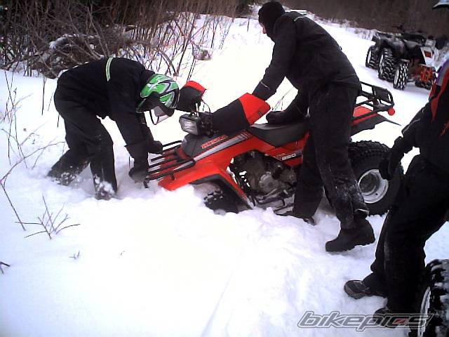 Photo 283779