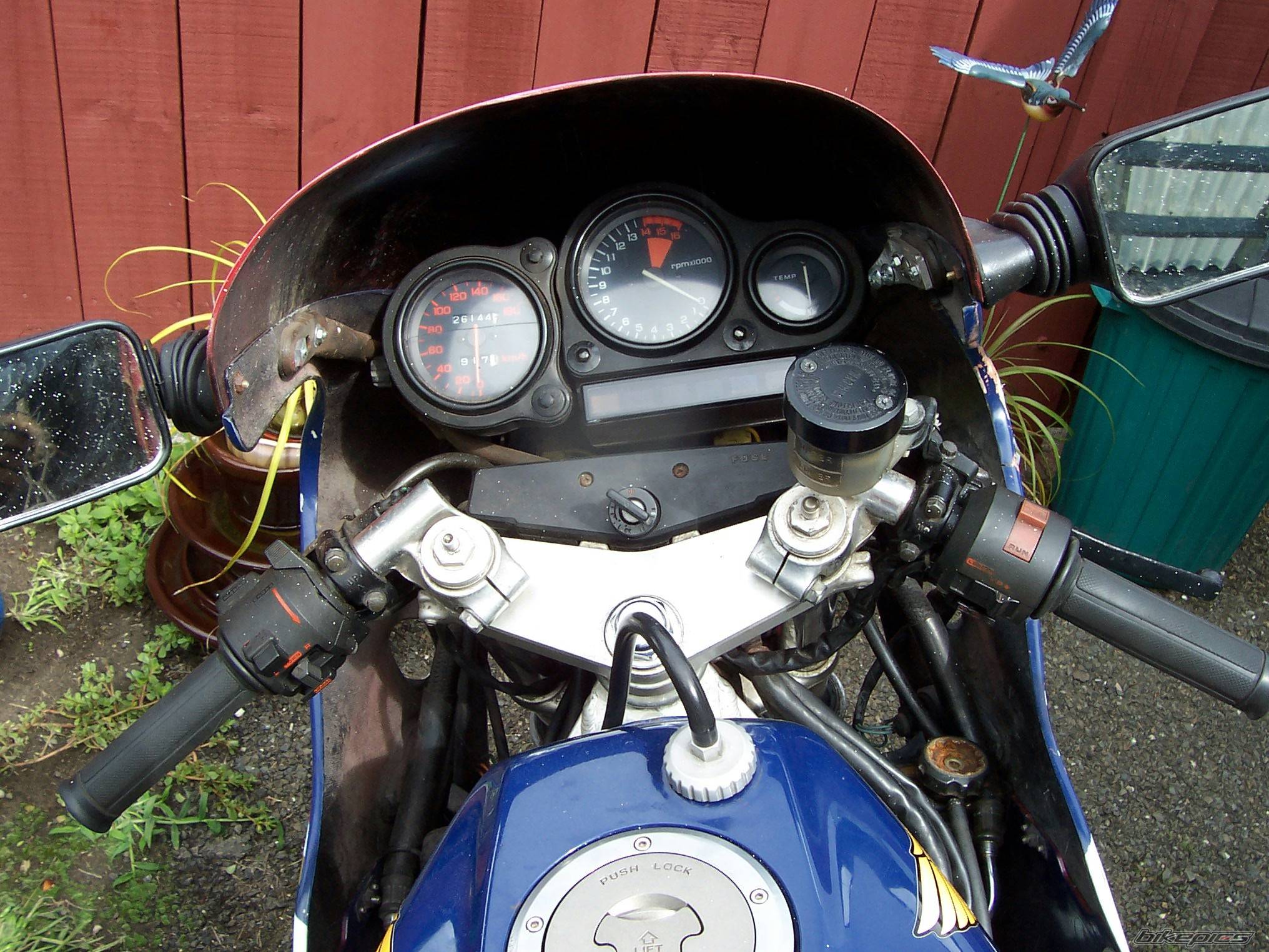 Photo 283799