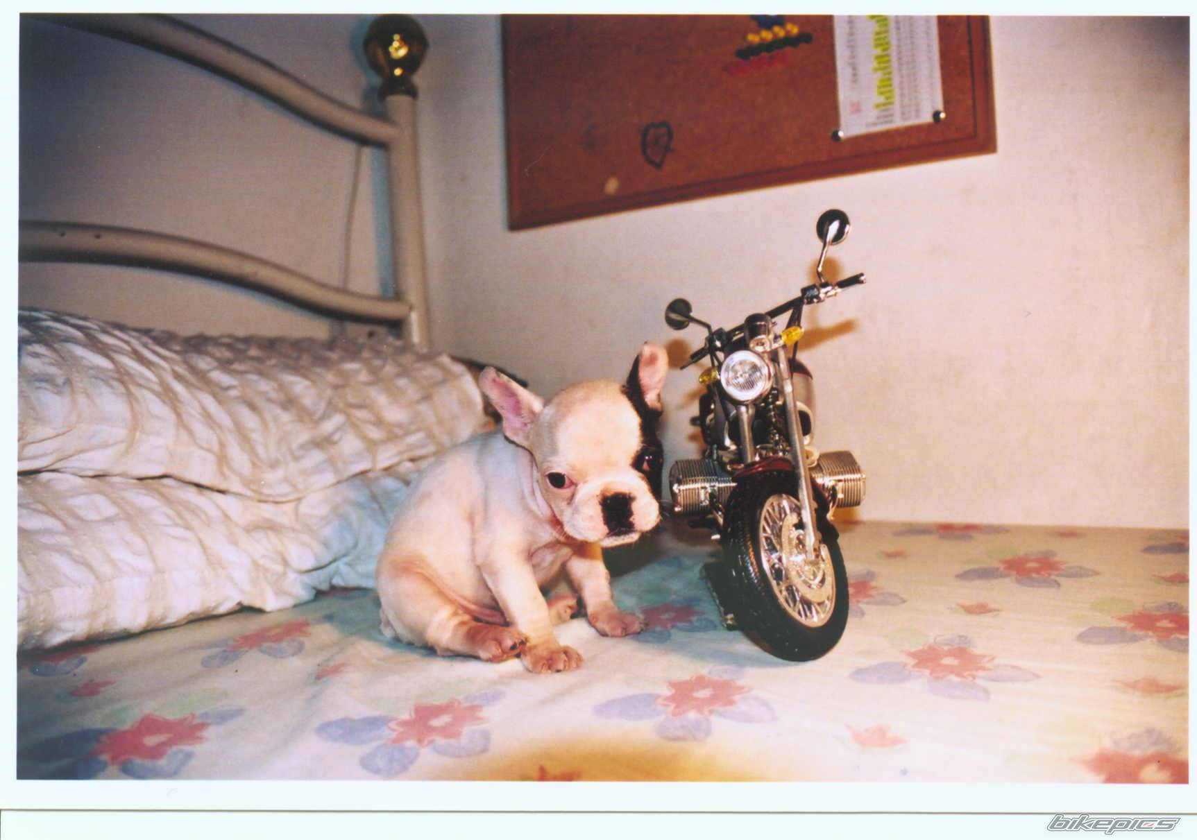 Bike Photo 28380