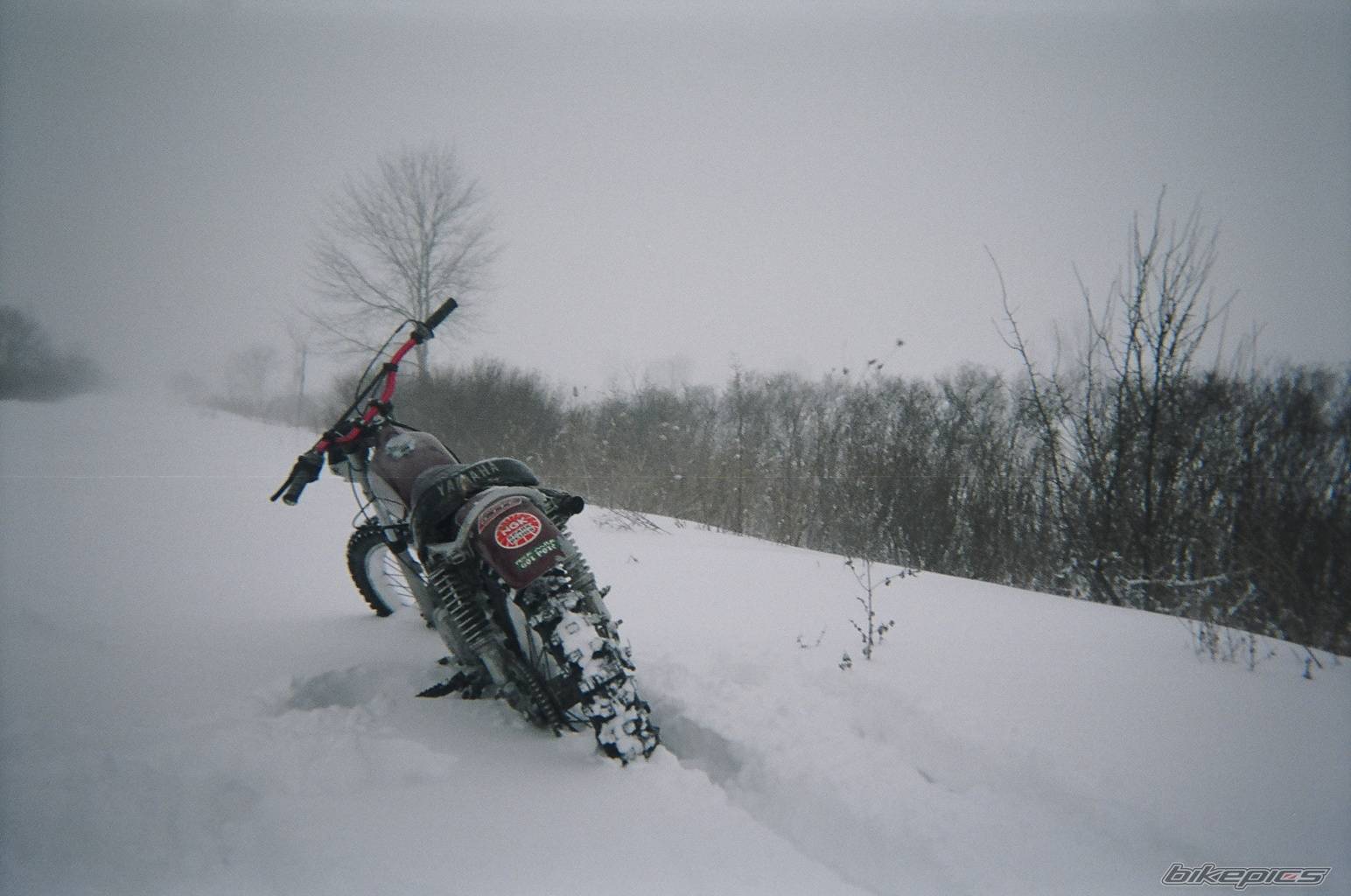 Bike Photo 283827