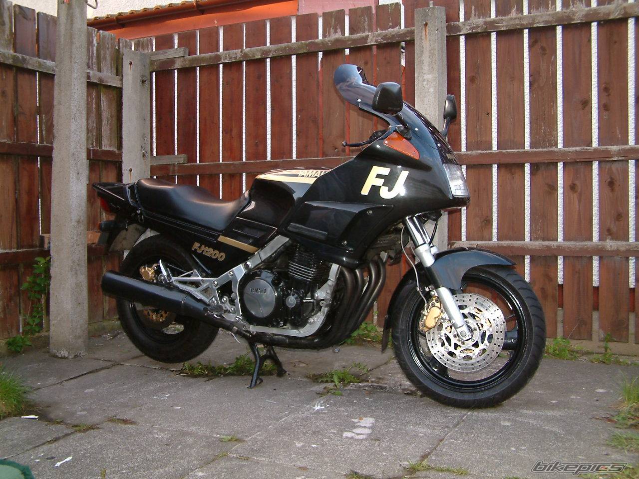 Photo 283843