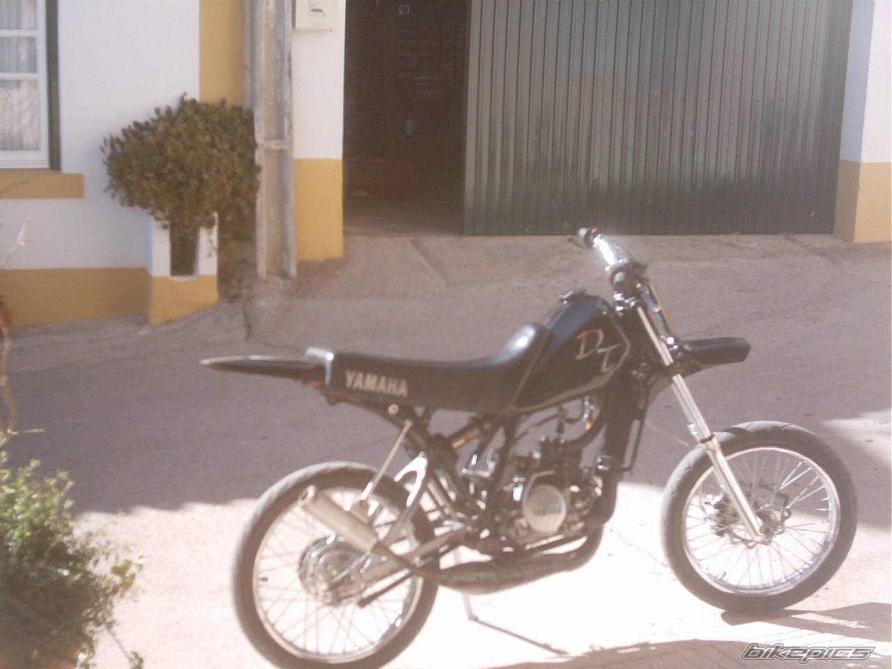 Photo 283970