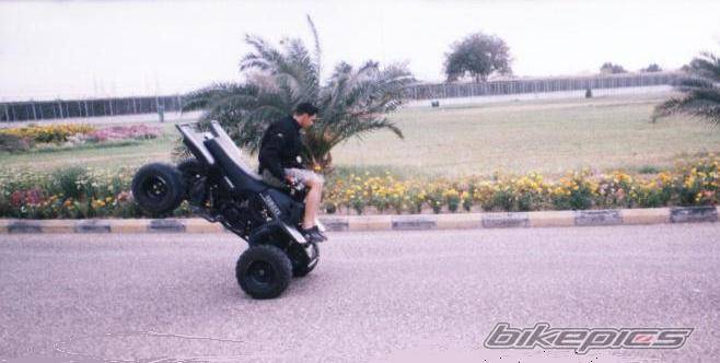 Bike Photo 284041