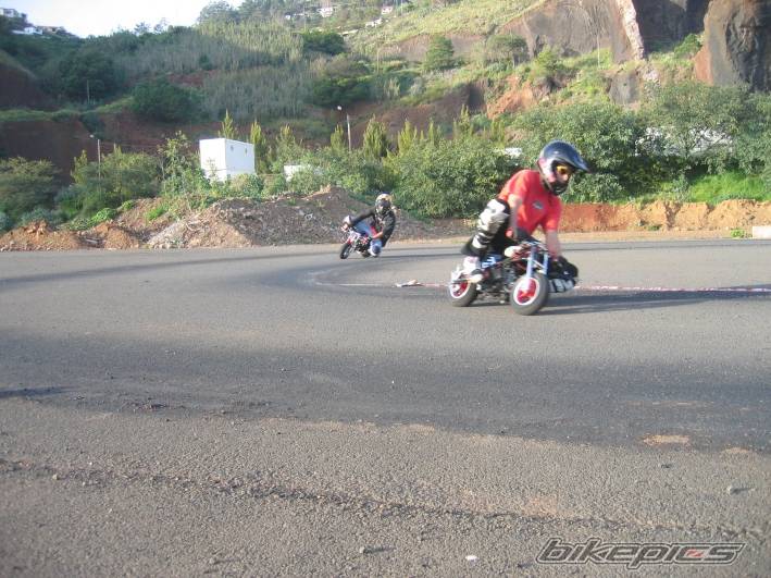 Photo 284149