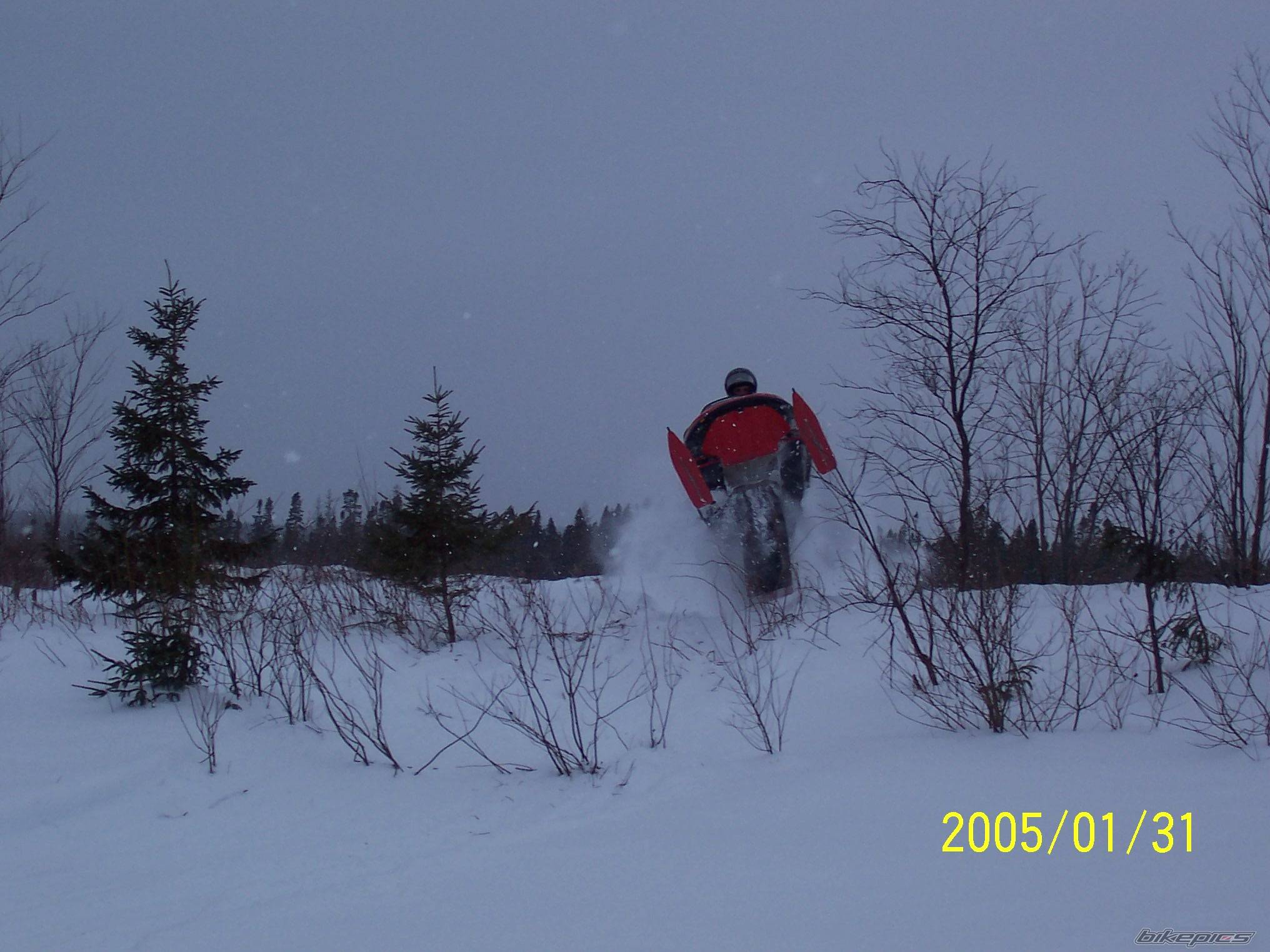 Photo 284266