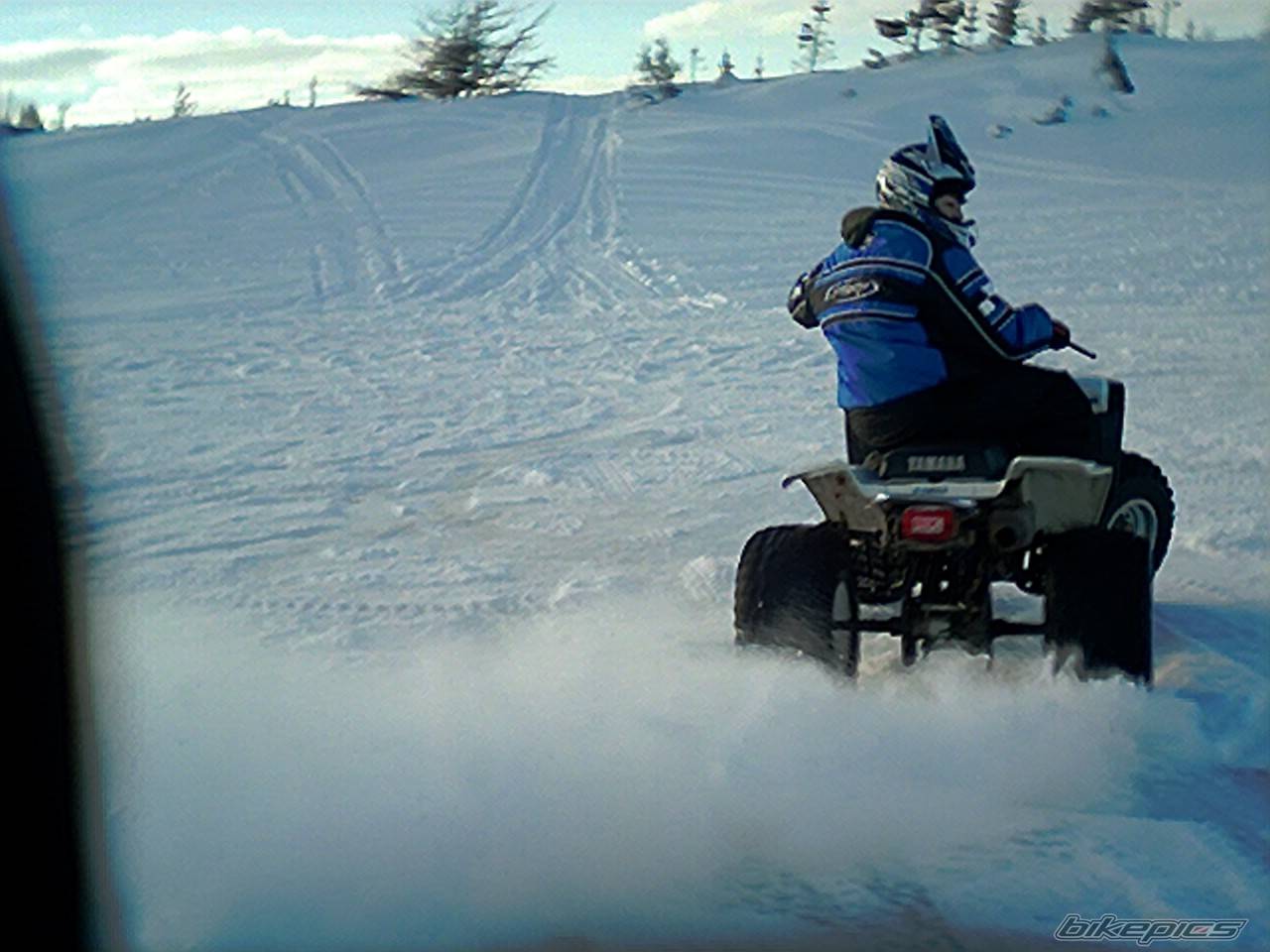 Photo 284330