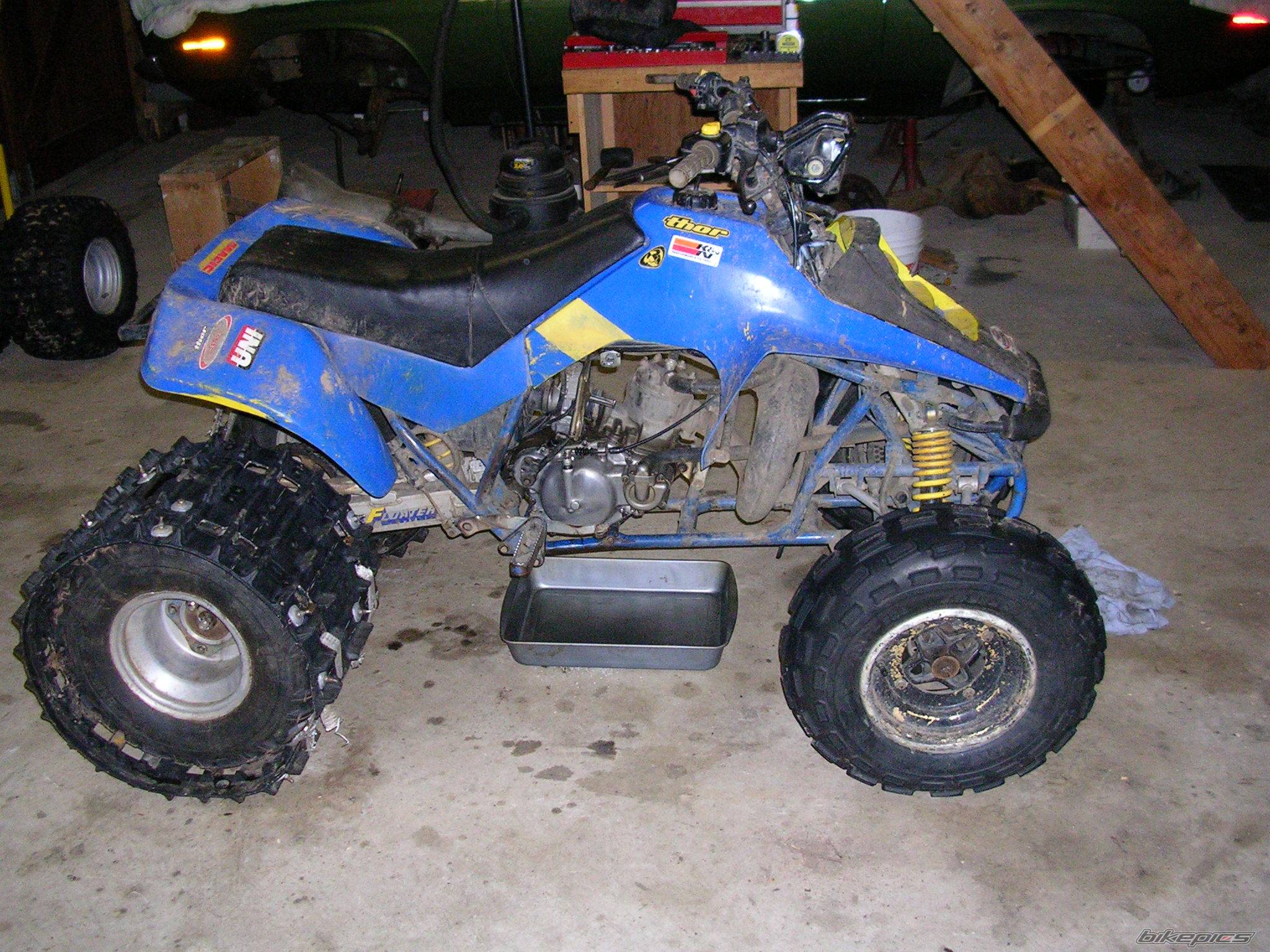 Photo 284331