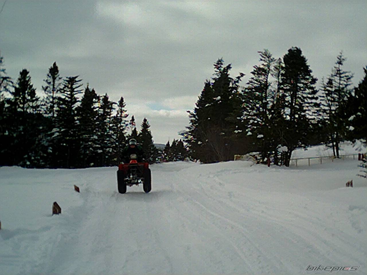 Photo 284338