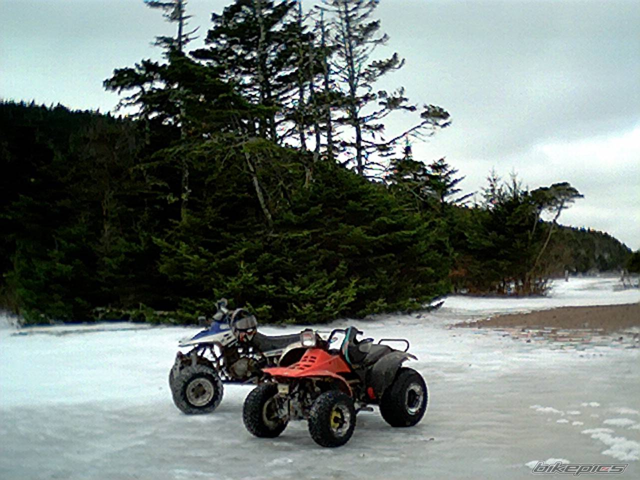 Photo 284342