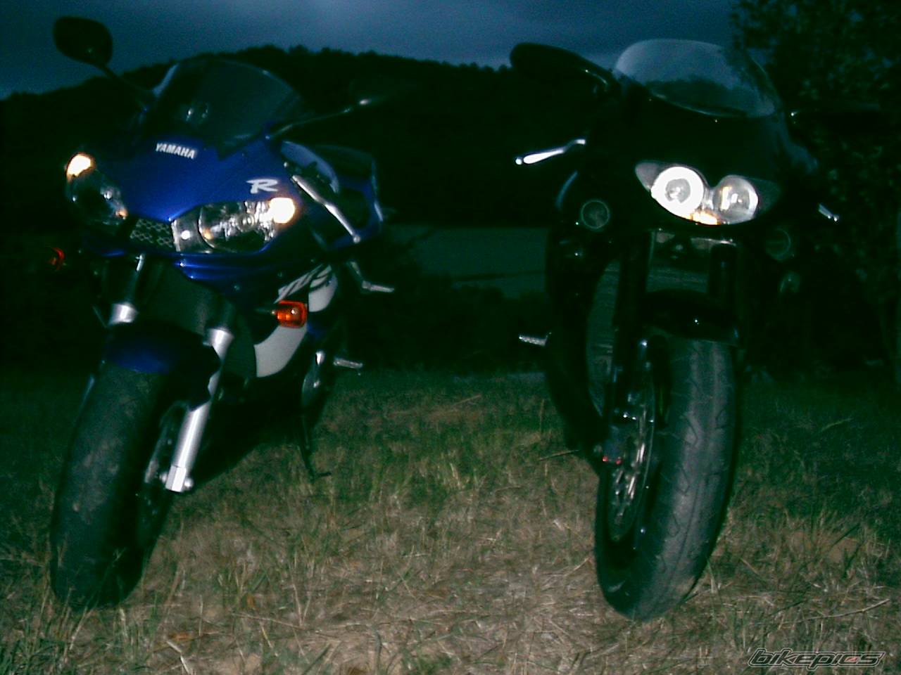 Photo 284402