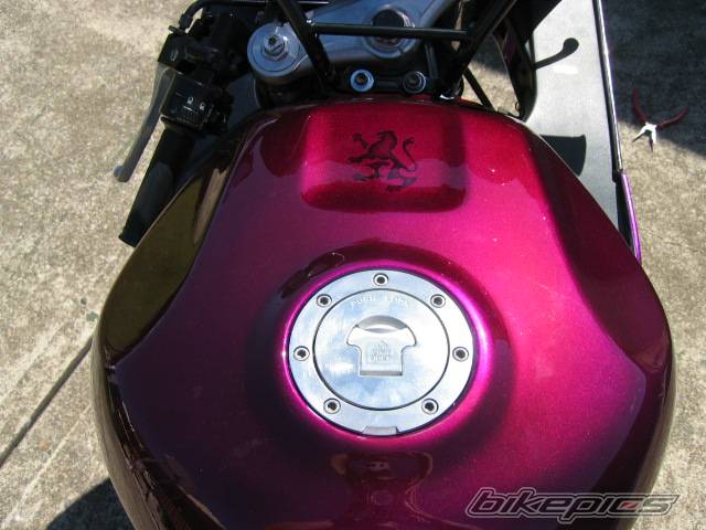 Photo 284504