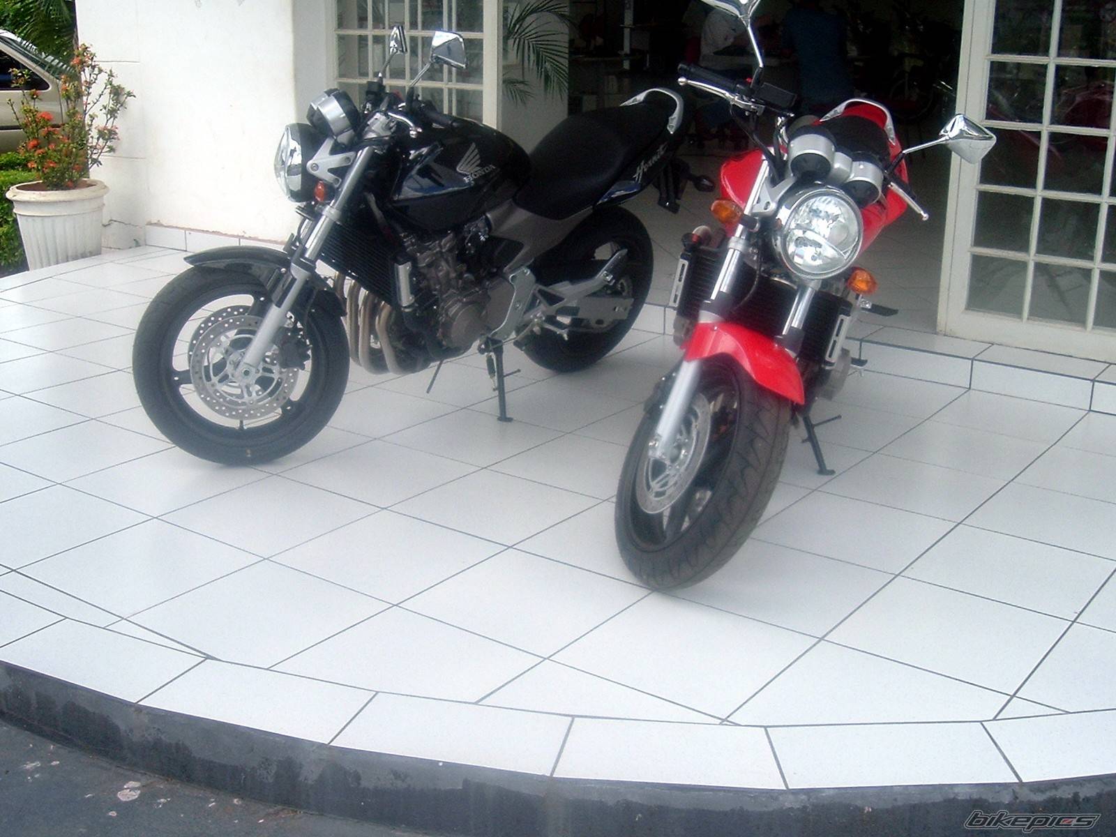 Photo 284701