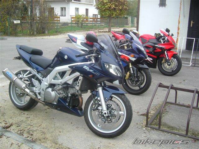 Photo 284773