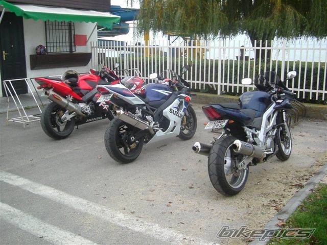 Photo 284780