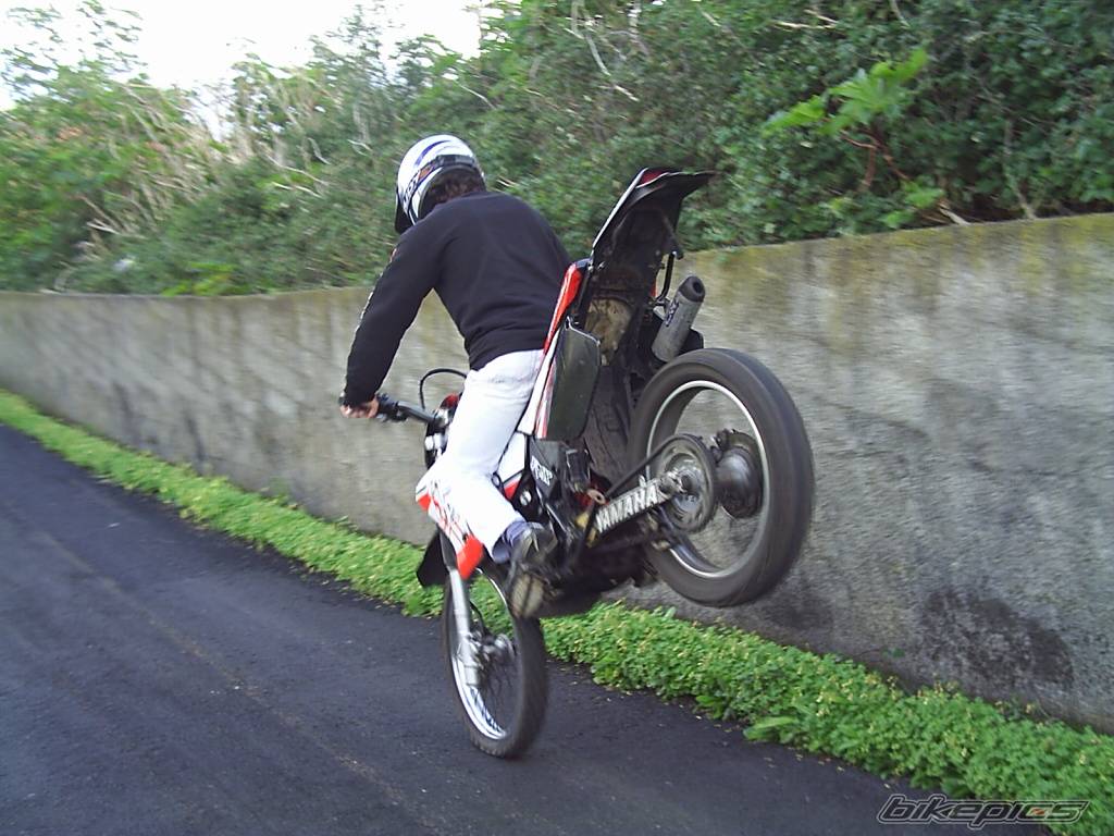 Bike Photo 284830