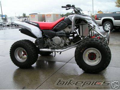Photo 284879