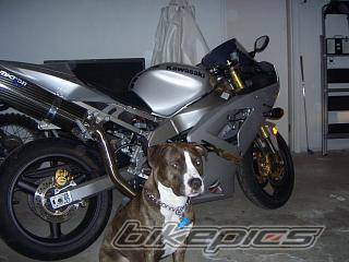 Photo 284945