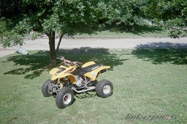 Photo 285268