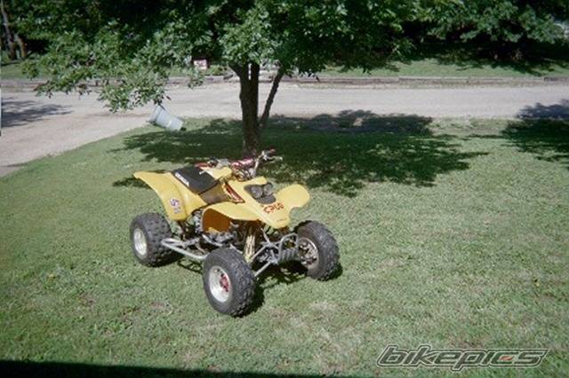 Photo 285269