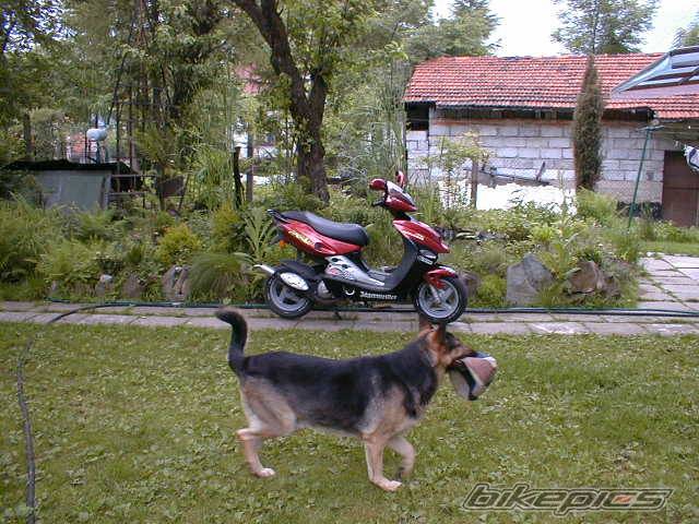 Photo 285286
