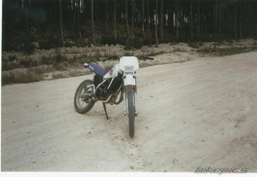 Bike Photo 285368