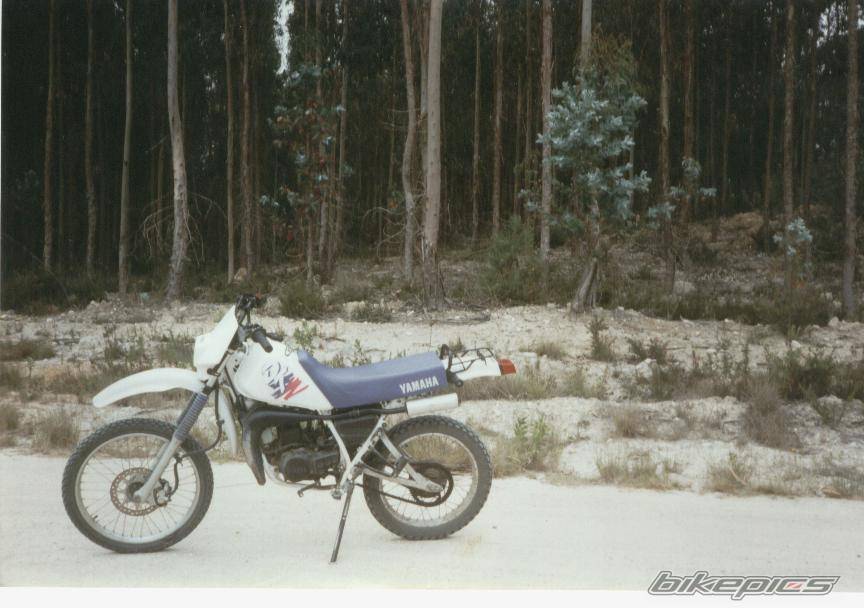 Bike Photo 285370