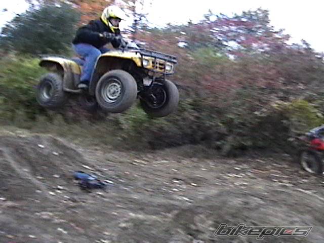 Photo 285386