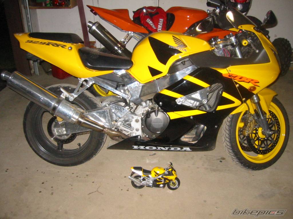 Photo 285402