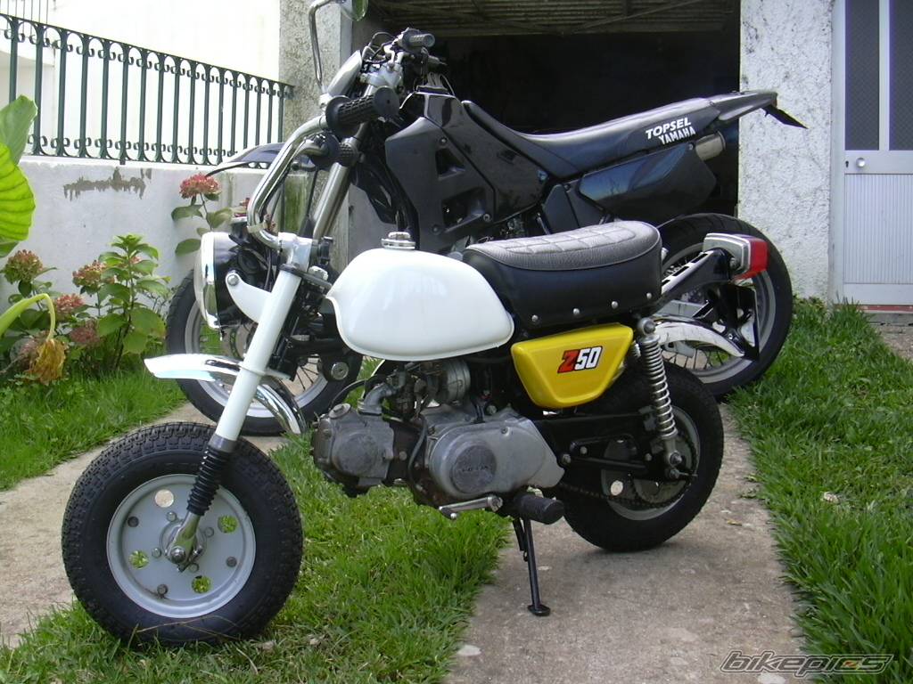 Bike Photo 285451