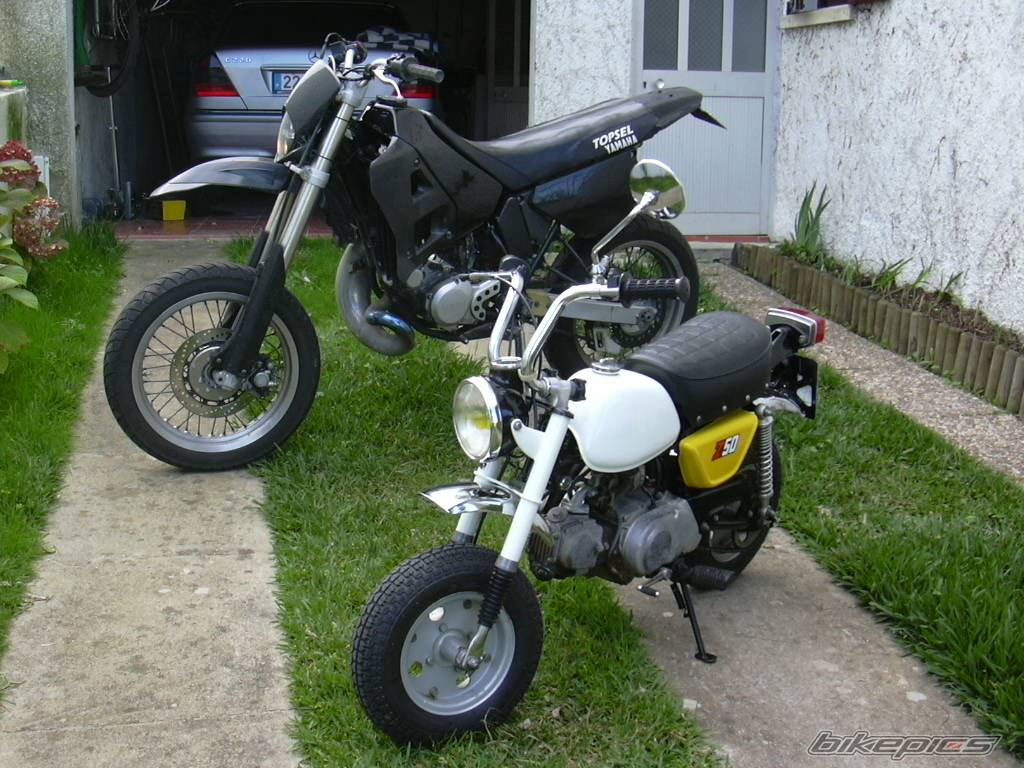 Photo 285452