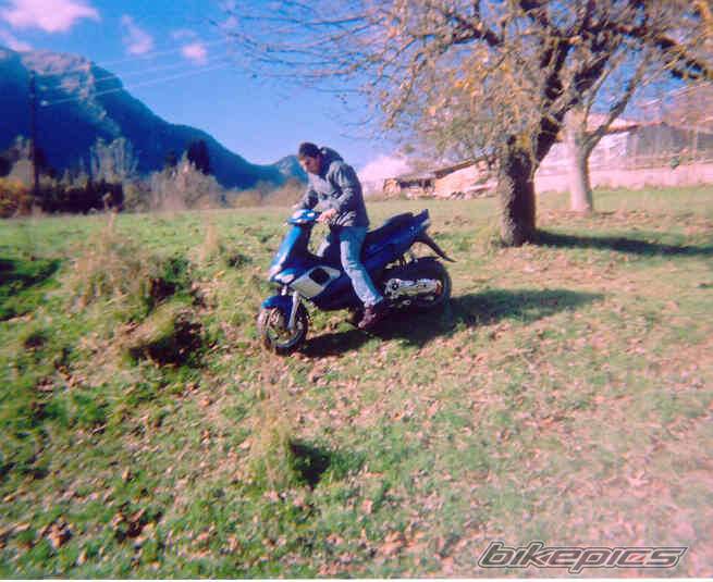 Photo 285709