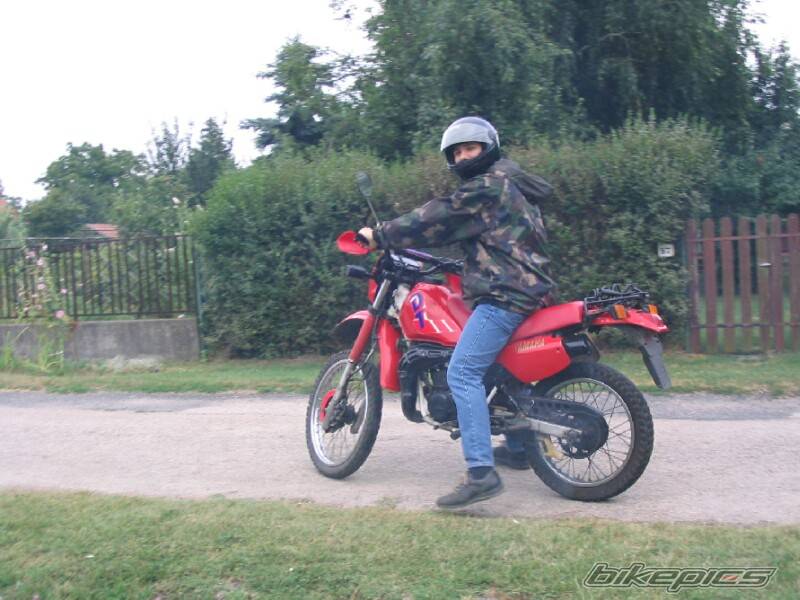 Photo 285734