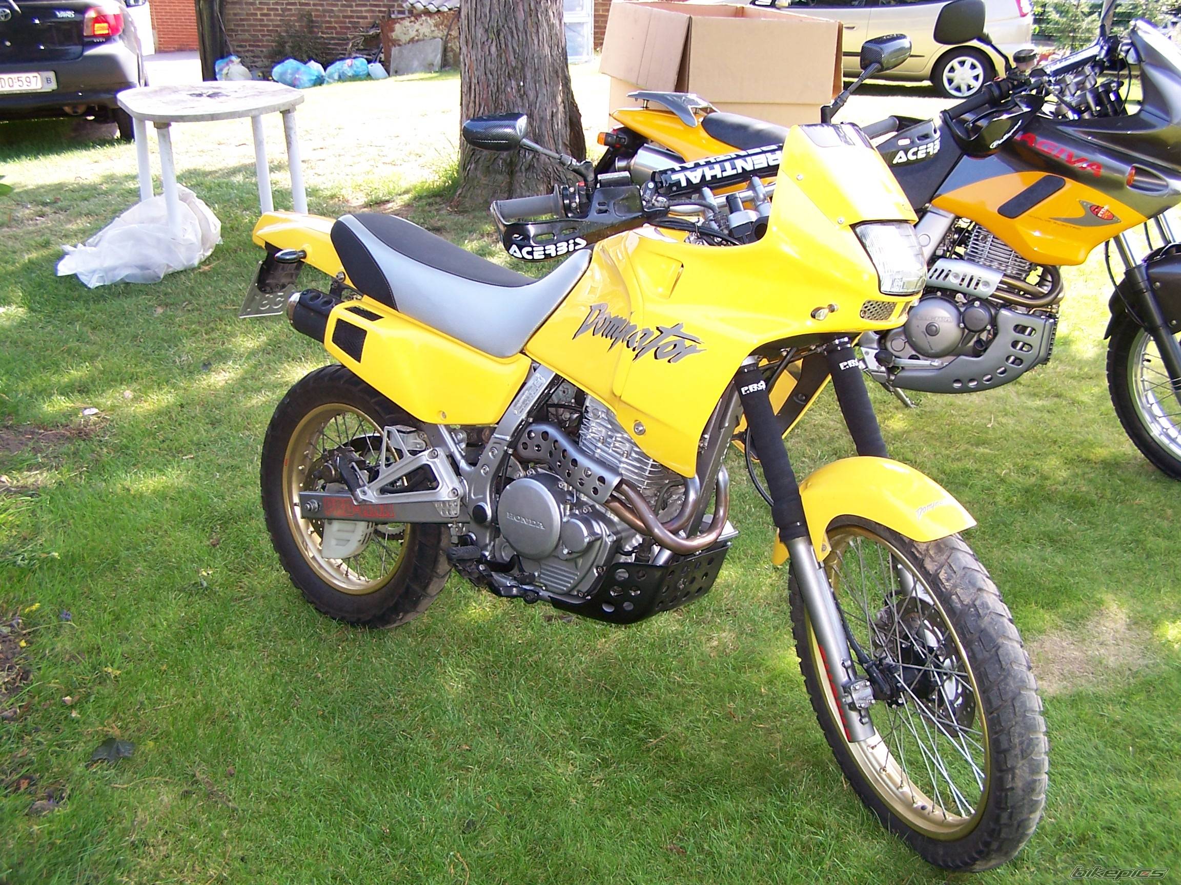 Photo 285779