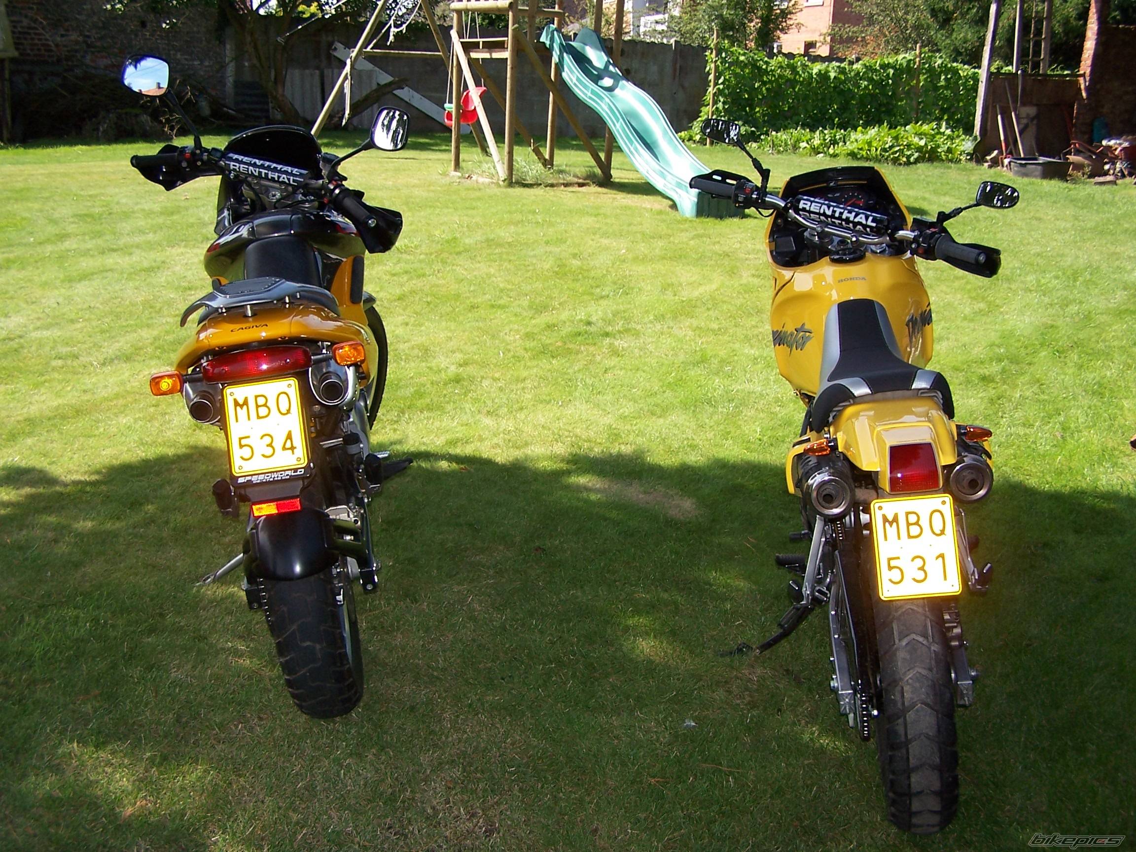 Photo 285785