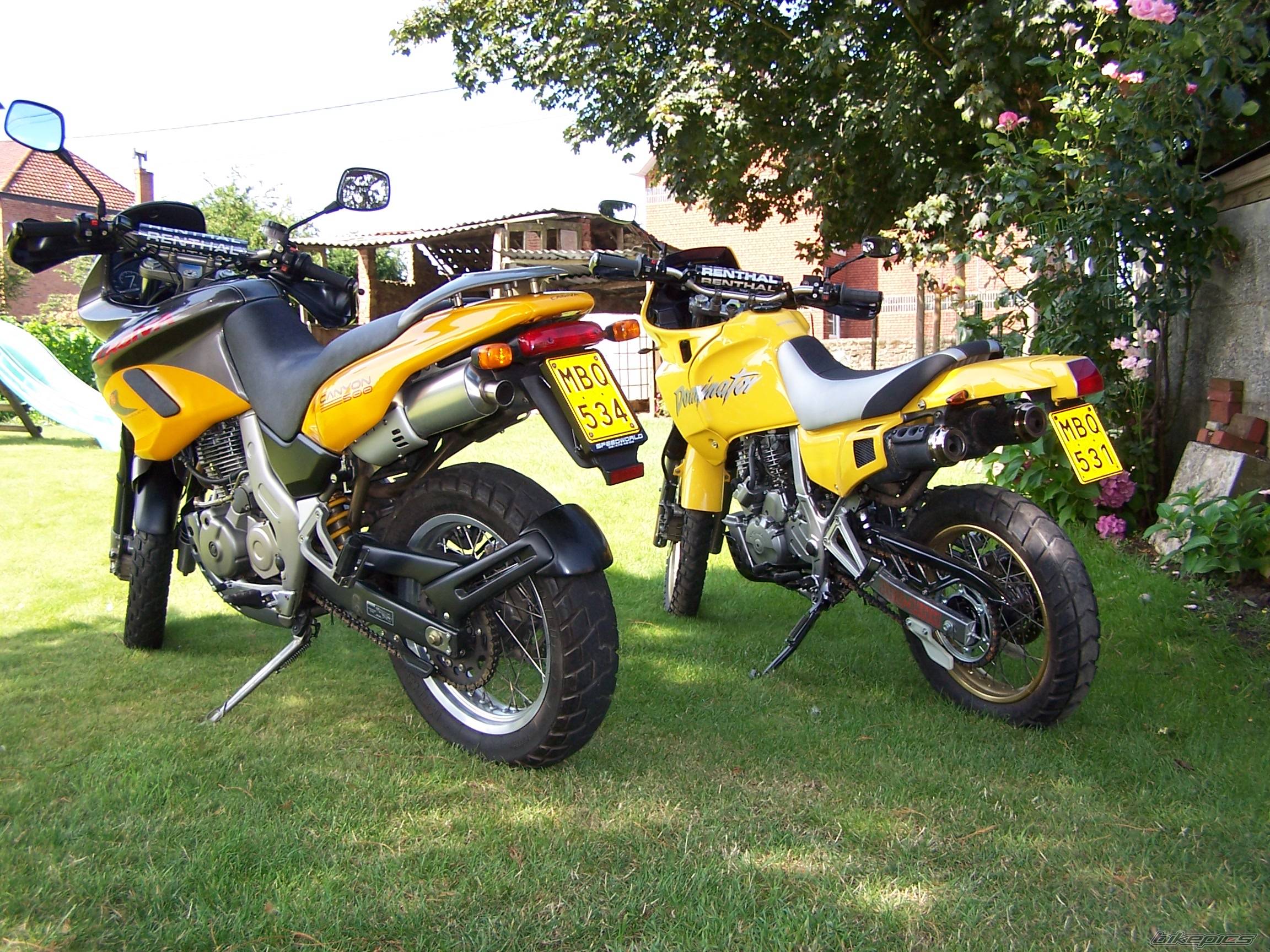 Photo 285796