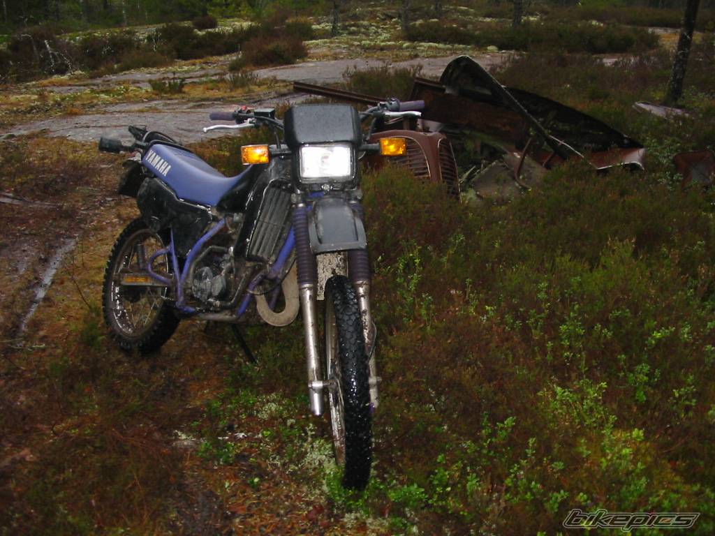 Photo 285821
