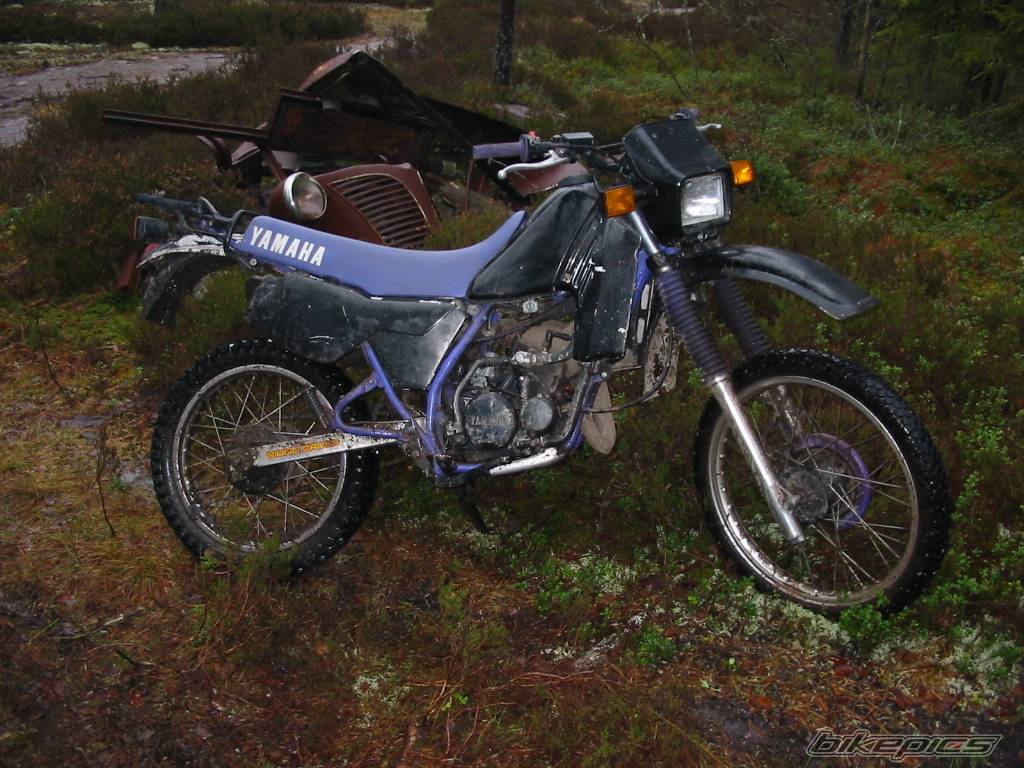 Photo 285822