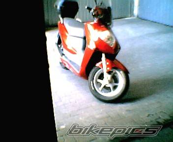 Photo 285893