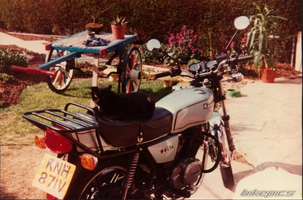 Bike Photo 285925