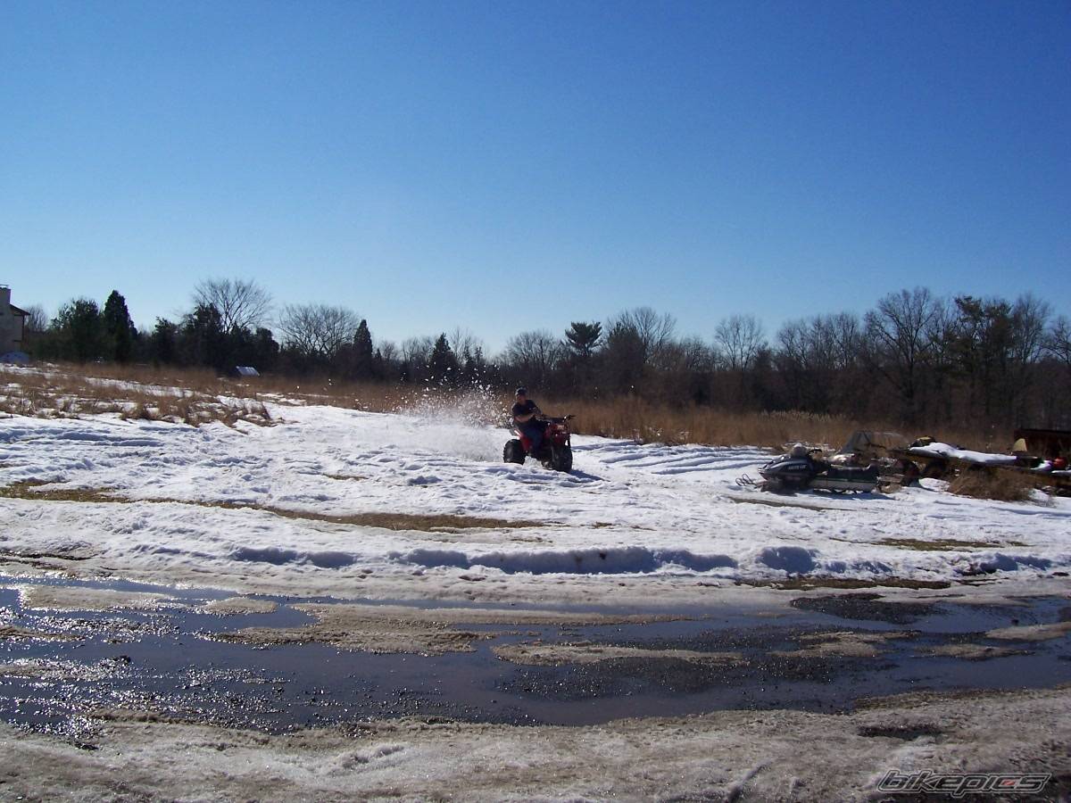 Photo 285949
